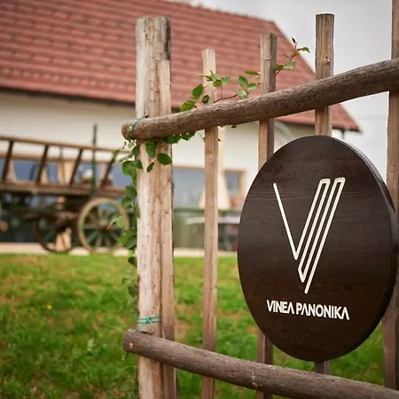 بيت للعطل Vinea Panonika Wine & Mind Retreat رادنسي