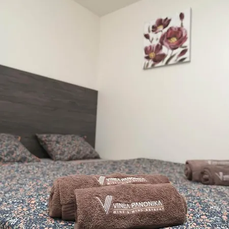 Vinea Panonika Wine & Mind Retreat Hébergement de vacances