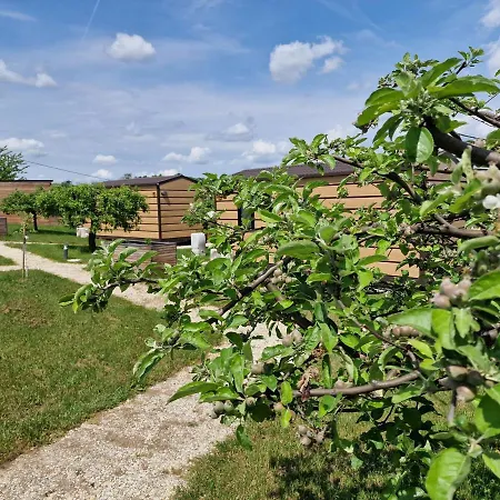 Vinea Panonika Wine & Mind Retreat *