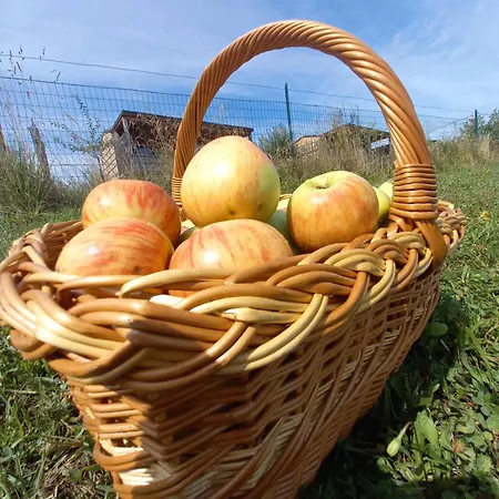 Vinea Panonika Wine & Mind Retreat Casa vacanze Radenci