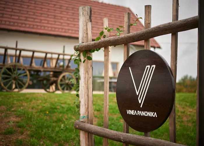 Feriehus Vinea Panonika Wine & Mind Retreat Radenci