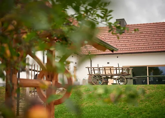 Feriehus Vinea Panonika Wine & Mind Retreat