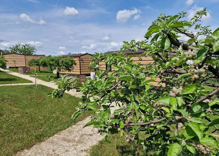 Vinea Panonika Wine & Mind Retreat *