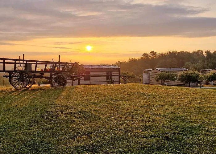 Vinea Panonika Wine & Mind Retreat Feriehus Radenci