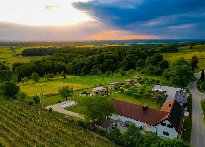 Feriehus Vinea Panonika Wine & Mind Retreat