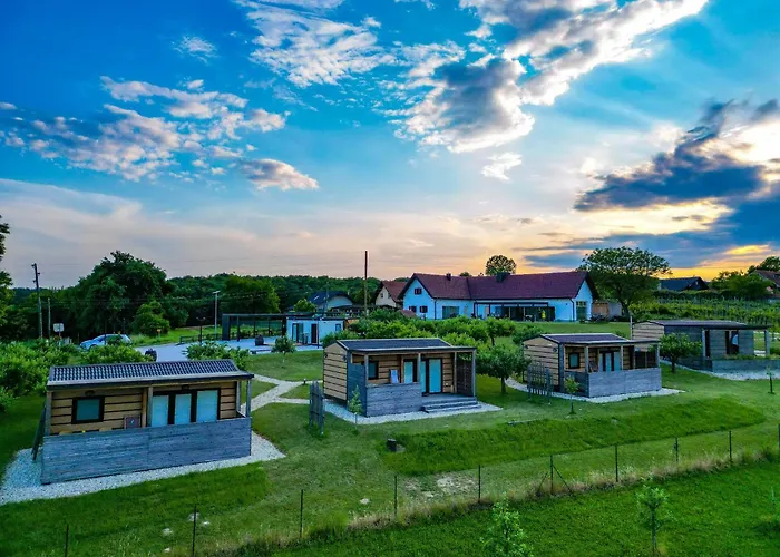 Vinea Panonika Wine & Mind Retreat Casa vacanze Radenci